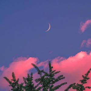 我的暴露日记第二部
