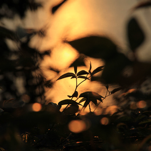 我的暴露日记第二部
